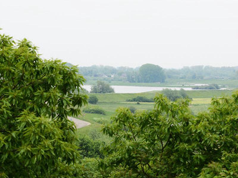 446252C51B91918200652A41E953D672