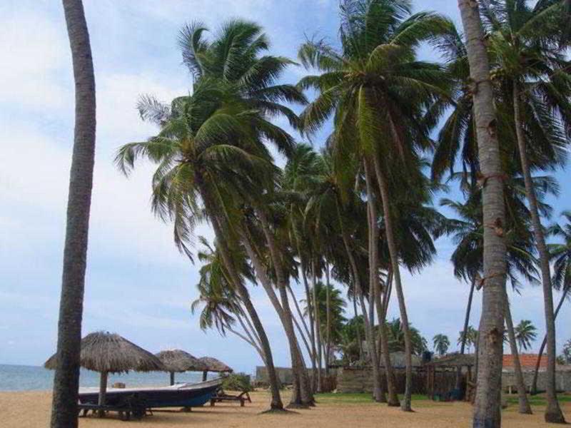 0A95494FB803851FC5A2823C26EF8133