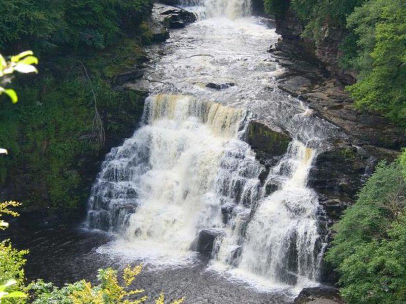 78BB9854275B16F3956AC01D2AC76433