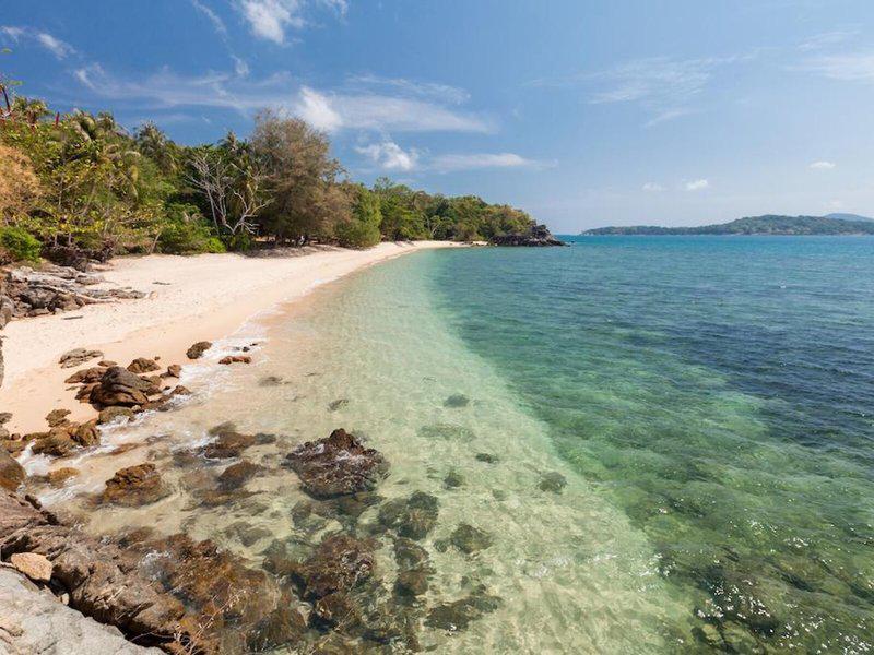 AF879ED09794BDA5E7D2FFA5C6C319C0