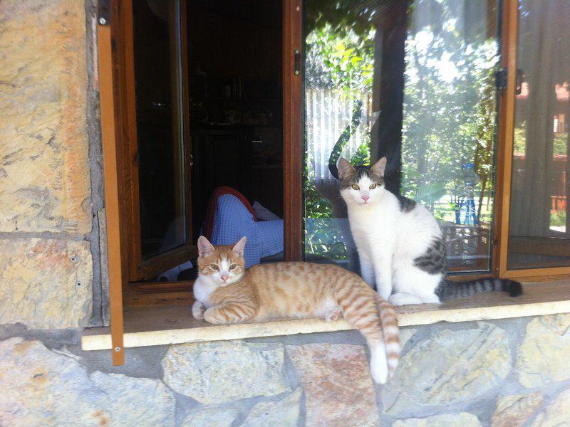 F361CE54467AA3E14B7EFB07185EF112