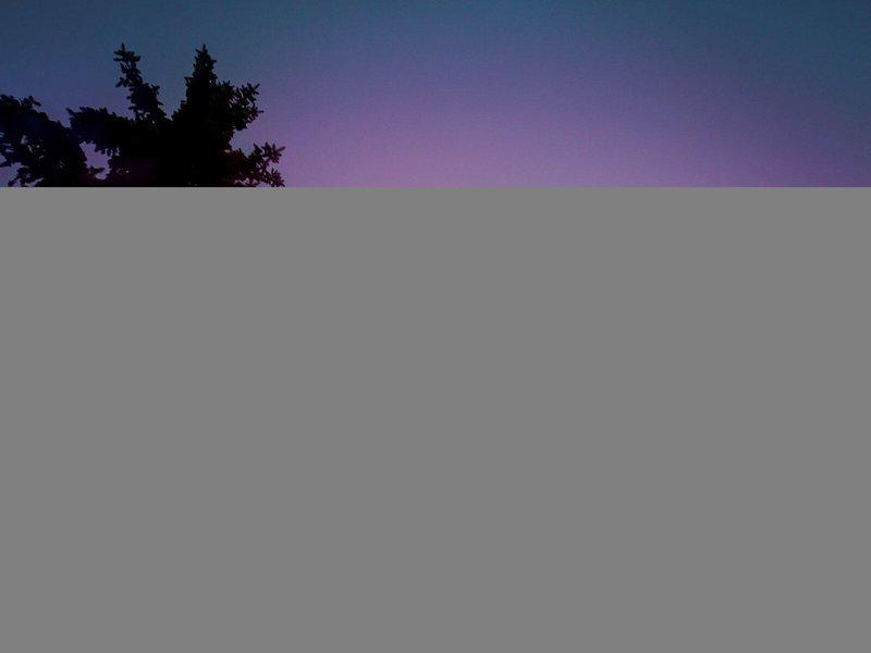 491FC9295C71CE15AF63F14660E9D0DB