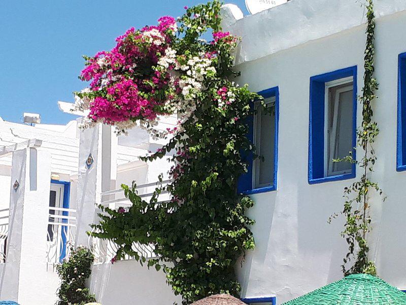 39AABE3A5BC39FB5407F964B8B9731A6