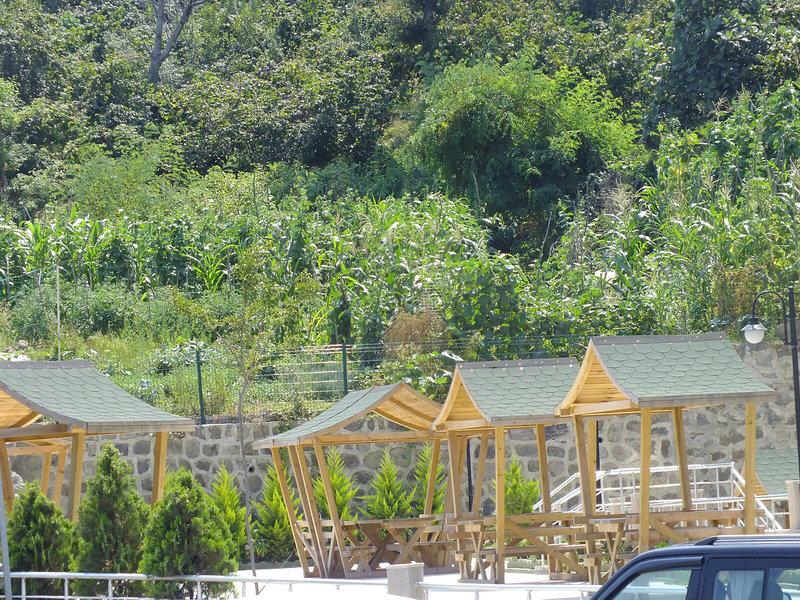 D95F89E006117838F1CA754F331333B2