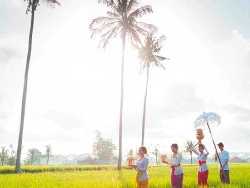 53804BDE54F48E9BF22EB5C0BF631575