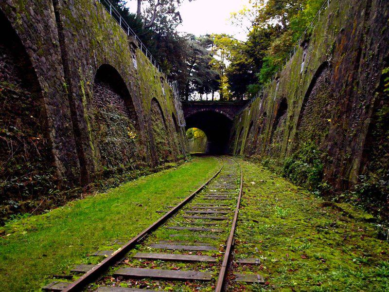 EAEA760743CD4268219E79C891CD971F