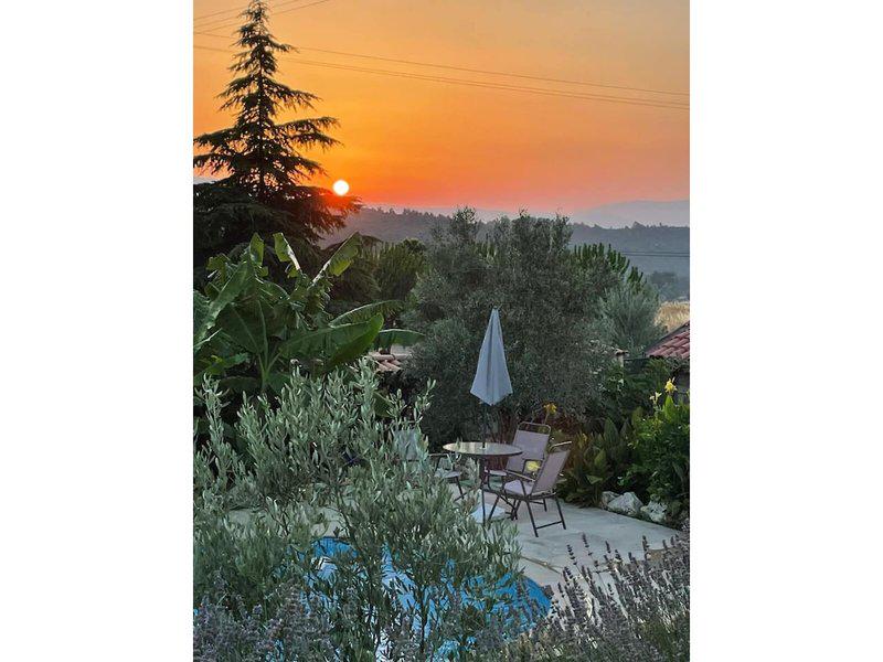 F8E08DE665DCC5C5970BB504EF2F1AD2