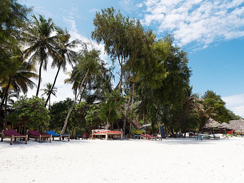 82CC8B092CE7D71F57C599C26C1555FB