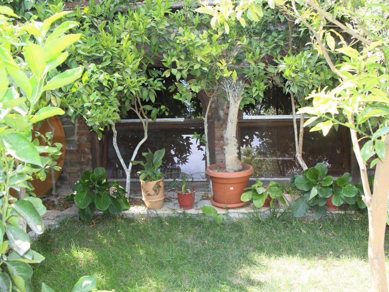 C533E8BC1721EAAAE81861DB0765A7F9