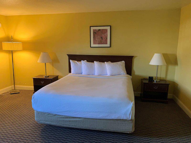 0EA07916D2E04A5B6EBA5F6B7788E355