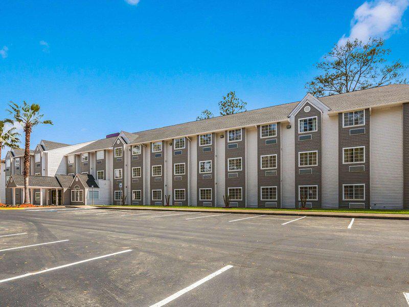 E8E52C4312214351AE60B72332B12477