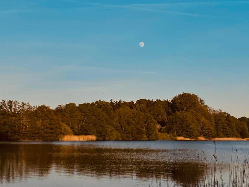 C3A03405595705148826292743D34C69