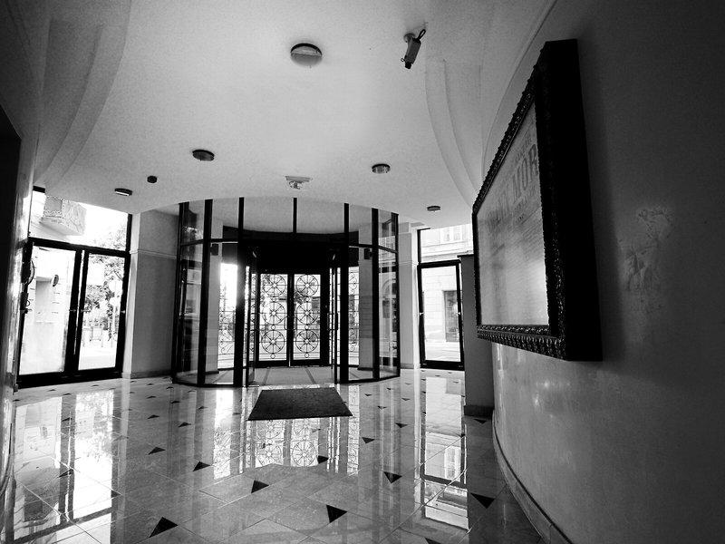 CC8110CDFE4B823348D13B4E9BA66393