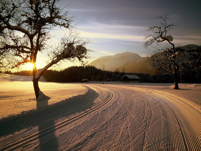 14FCE3D9B4F4CC9AC4BA3AB8EDCA01B9