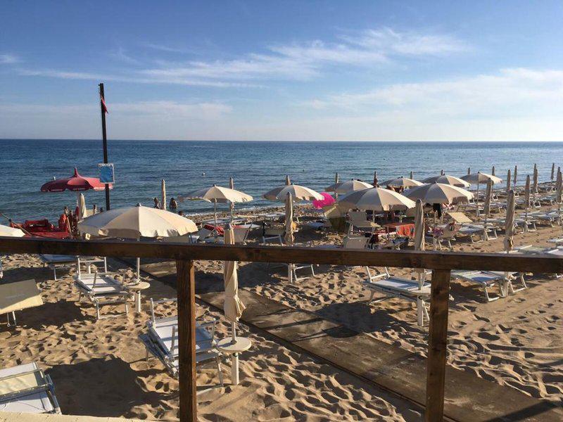 1615BAAE3B85FD4D0A89CCBE50D4257C