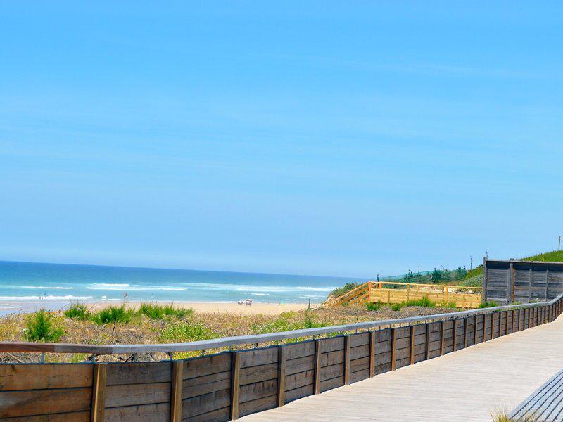 DD96910F5D8842F56D33D02900C1CBF1