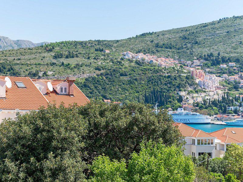 1925960D9EFD4134F2D36CFEA96D8249