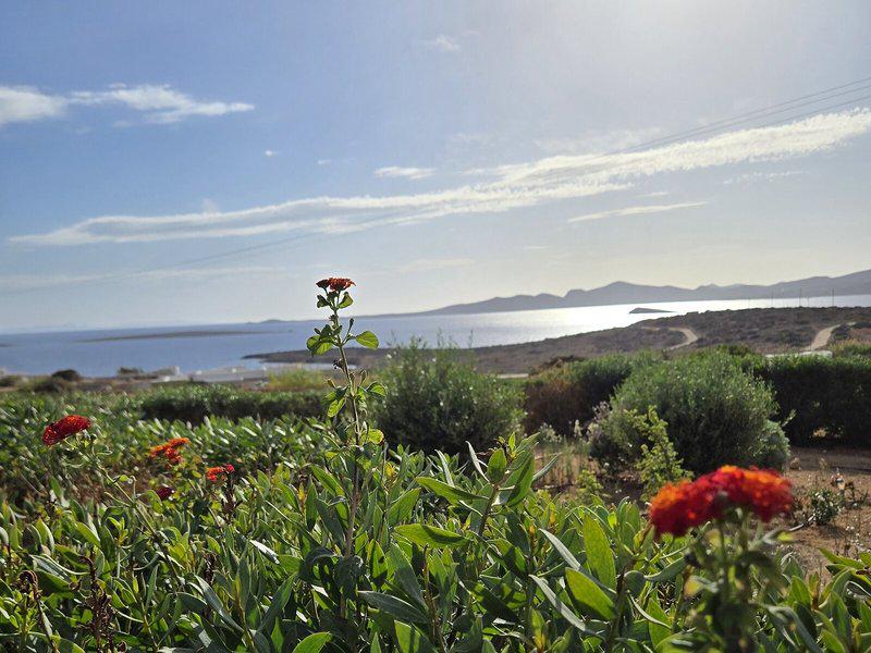 A2E474C3B1C75D832063B167B28E54FB