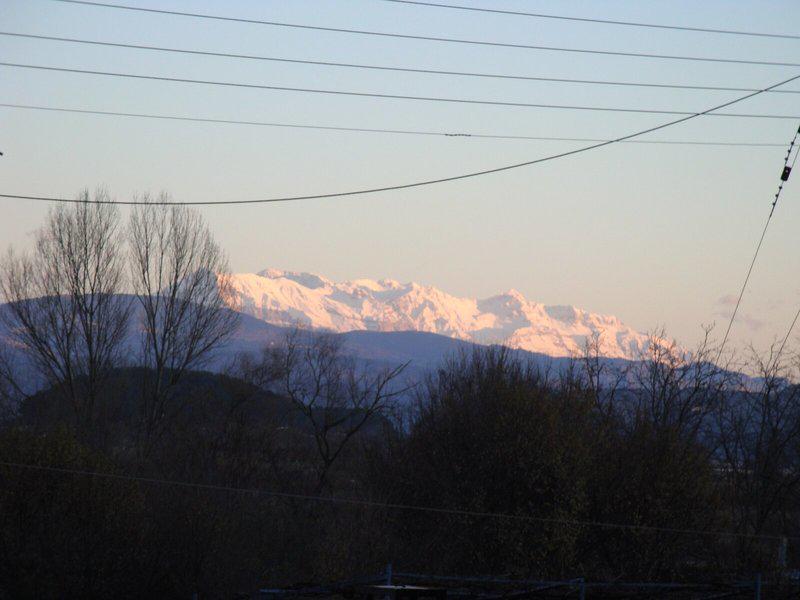 4F1B029746A7DF5F6805C0376D76A48F