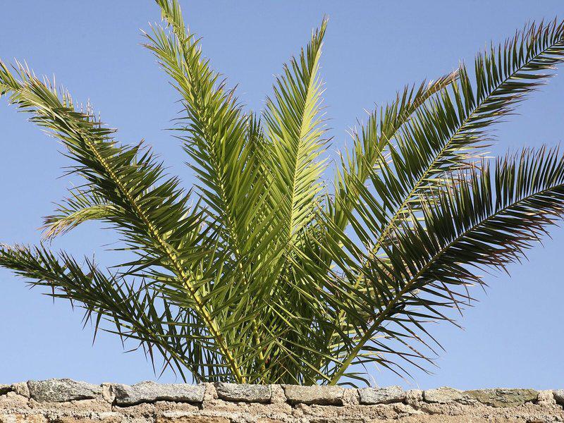 880555AECE8D9D217A1851A7A8B08C8A