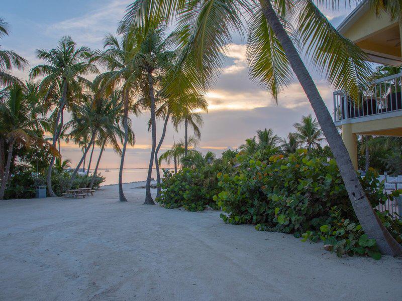 3B55FA5A40EAB60BB40B0543B833B6F9