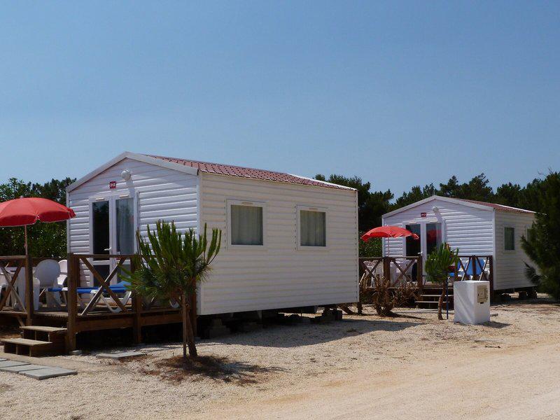 A49133A84FFC348B130760A07C706C2B