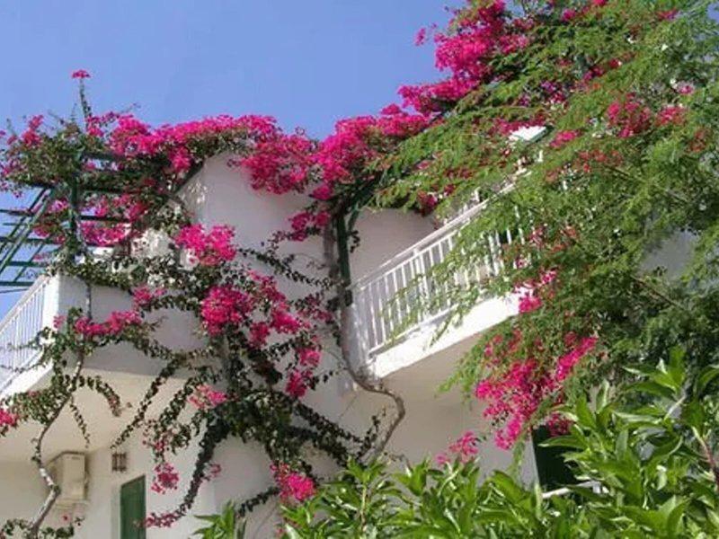 FC9CB8783EE5425FE6C234A72085D9C4