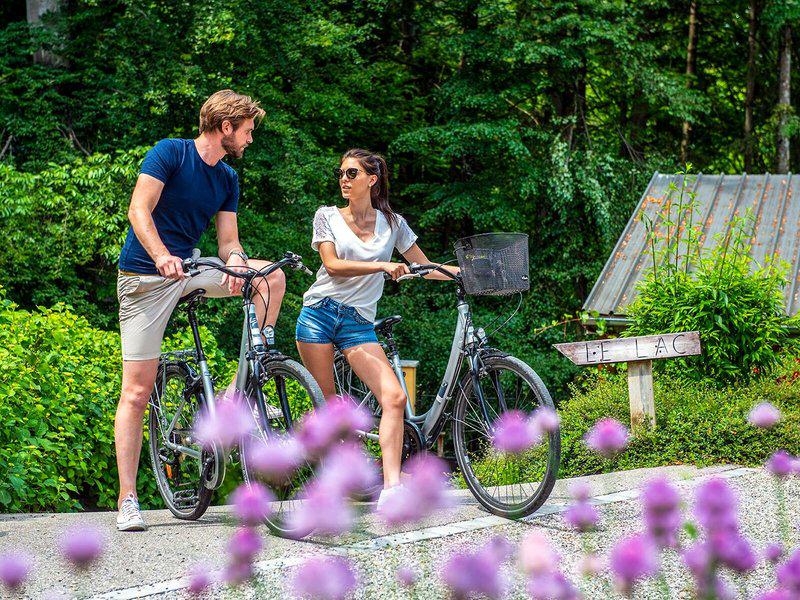 F3E43753C025DB031710198D81F6C725