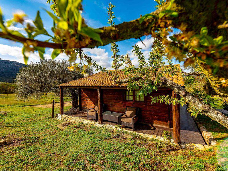 2106E0C3FA7998888B6B690C331779C2