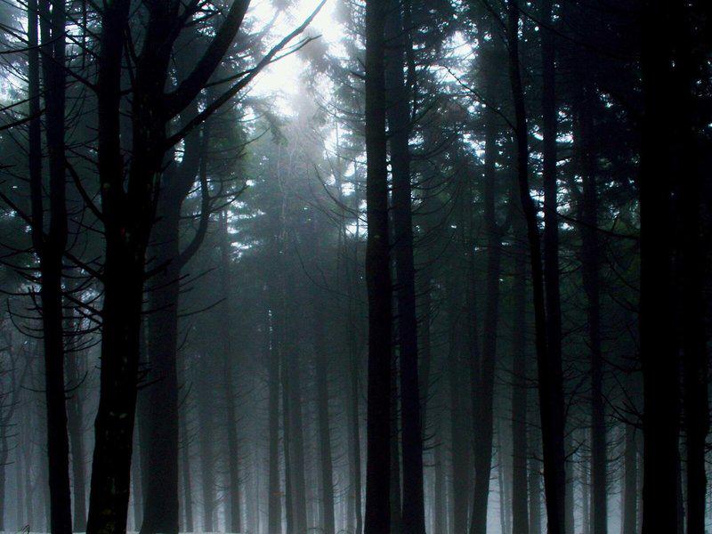 9281A708F73B455A8C1C0154959B603A