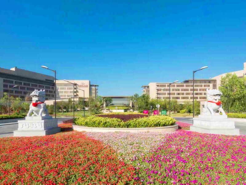 64B43B7B2360DB78606F65573D2B7D3A