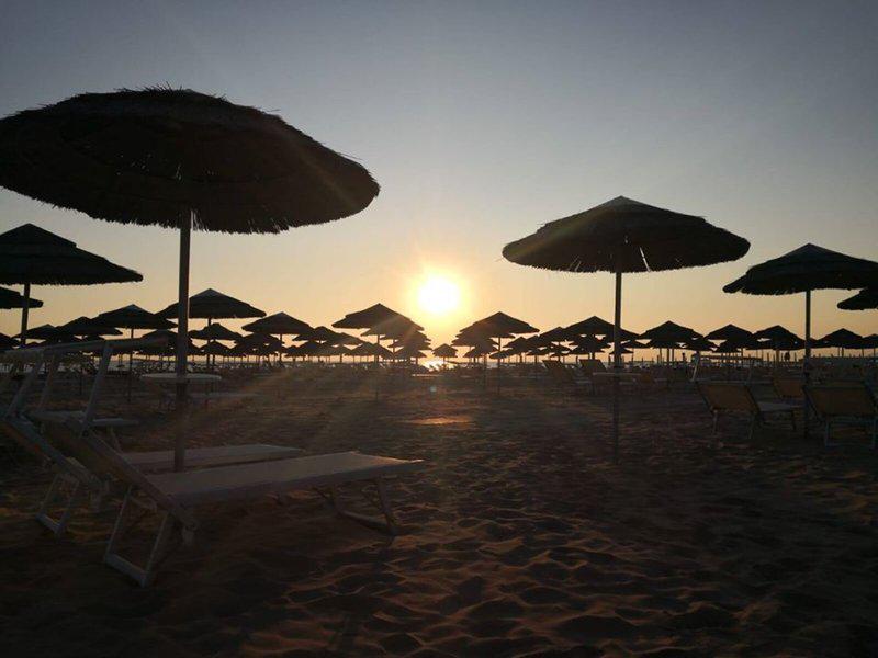 54F8976444AB68F69BF895DD5D623E90