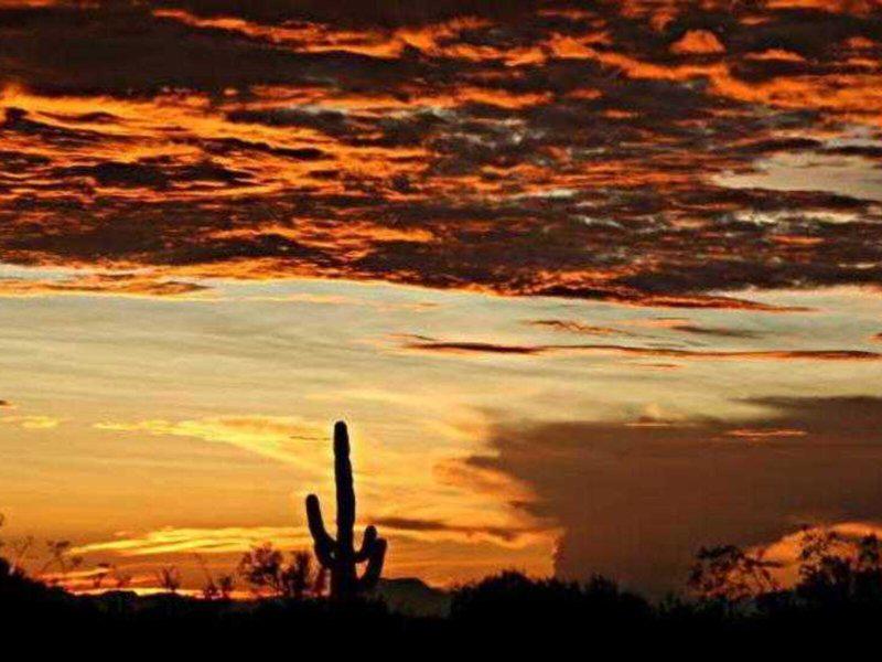 F71D67ABC60F44A24F1A85C4FBFD710C