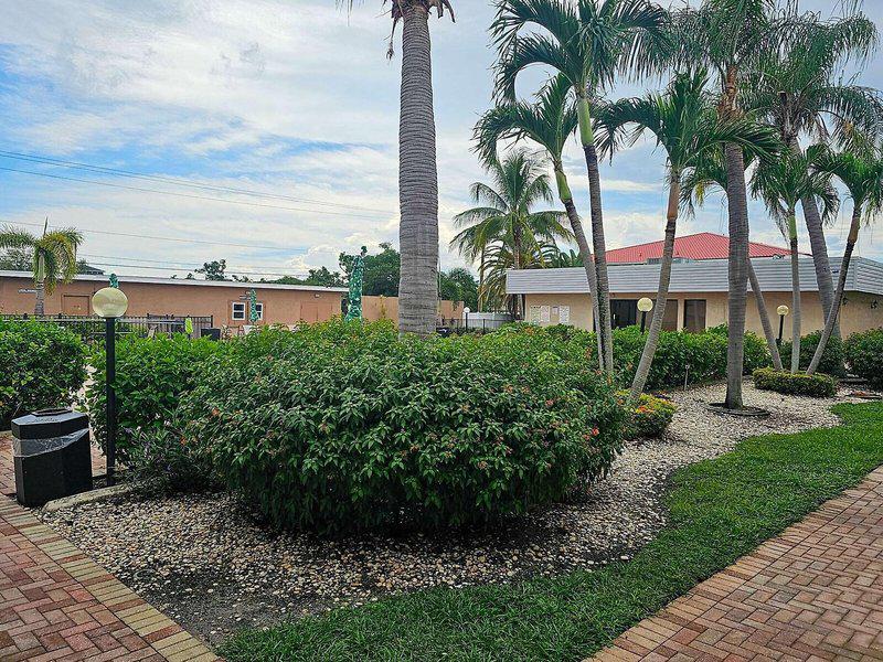 62B26EE5DA2C7B29D944211D4DAEC2E3