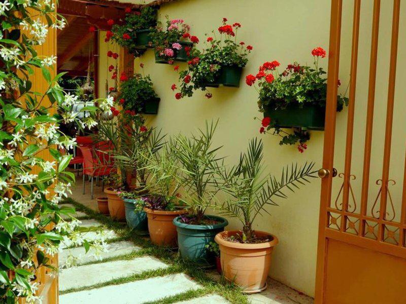 FE9825D0DEC9CE8E00D2B6690A50323A