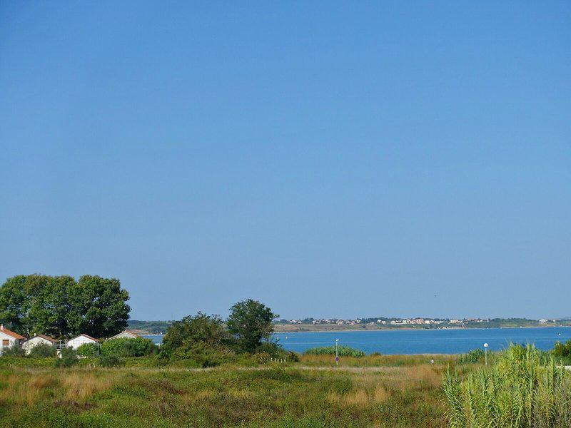 FF7B0B253A52FB1DEDF9CE1133DC4623