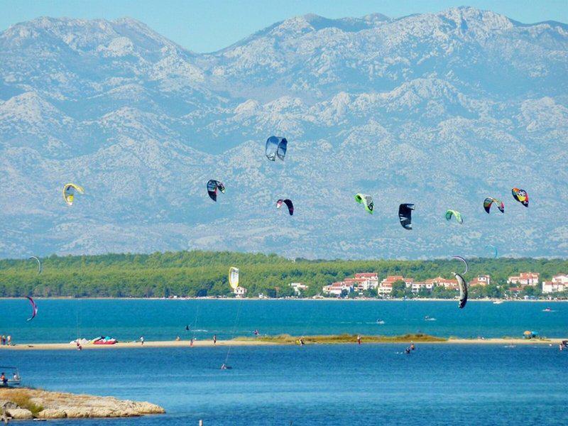 CDB81E462DFA3C7E76A77759D23F32A1