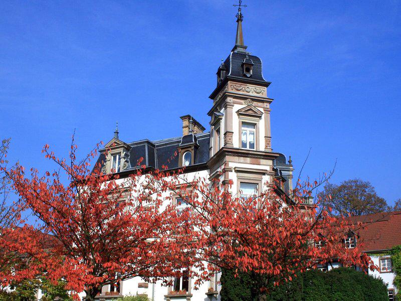 C972E0B38BF096C5F135318AFA4B8DEC