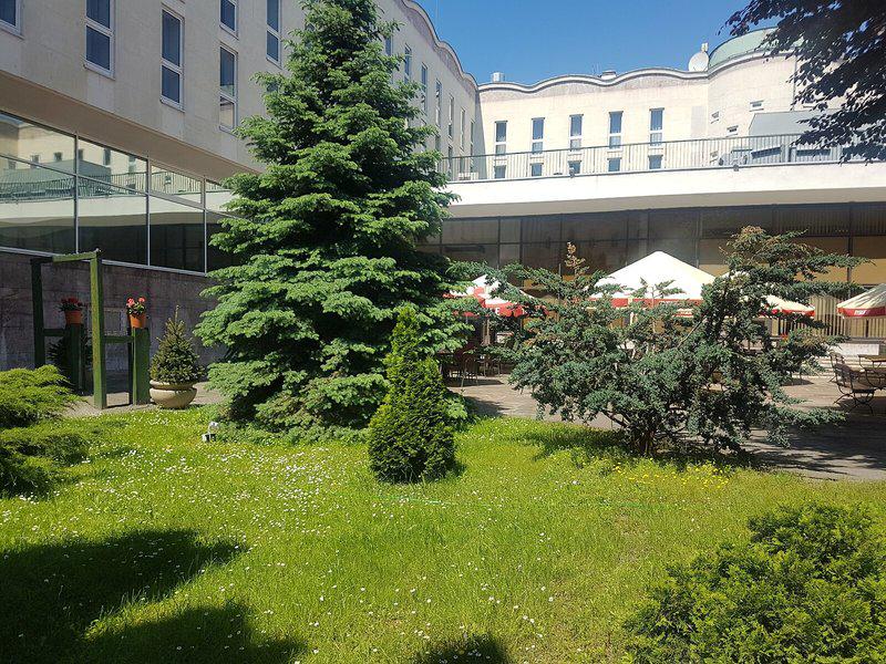 ED216F6A78B24C62E118328E03704C68