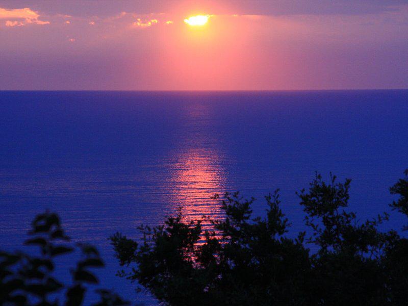 E1785AB3084B5D373AA73679CE386B3E