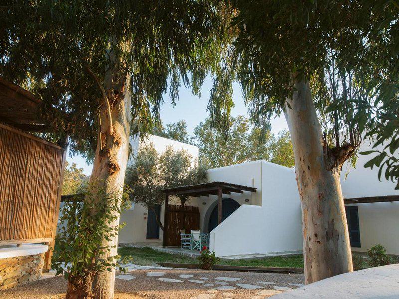 2119ACDE1FF8F56C2788F8B08FD1AFD2