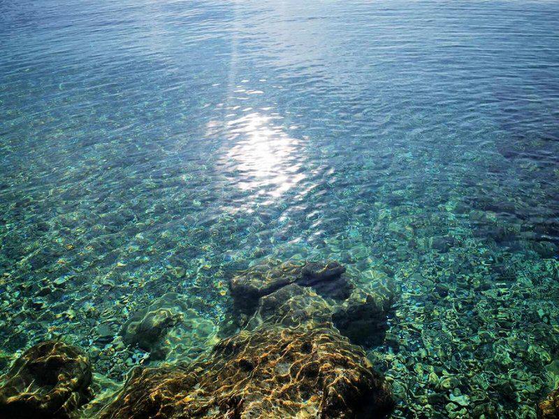 1F38CDEE84C0BAF49F988BF33E98052E