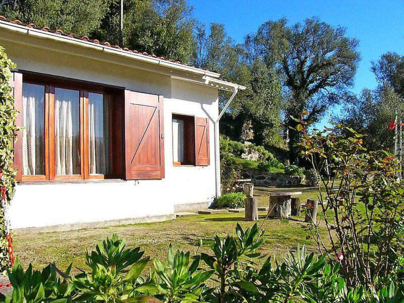 8DAD403915F4A51E9DC990A74D77E2CE