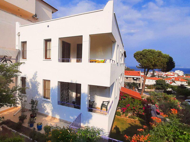 8AF81E7D2CF790C530BD4833FB197E8F