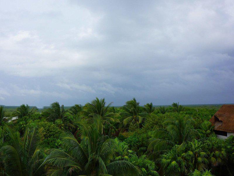 65118B3E0377EF1EA13D447FCBEA17F8