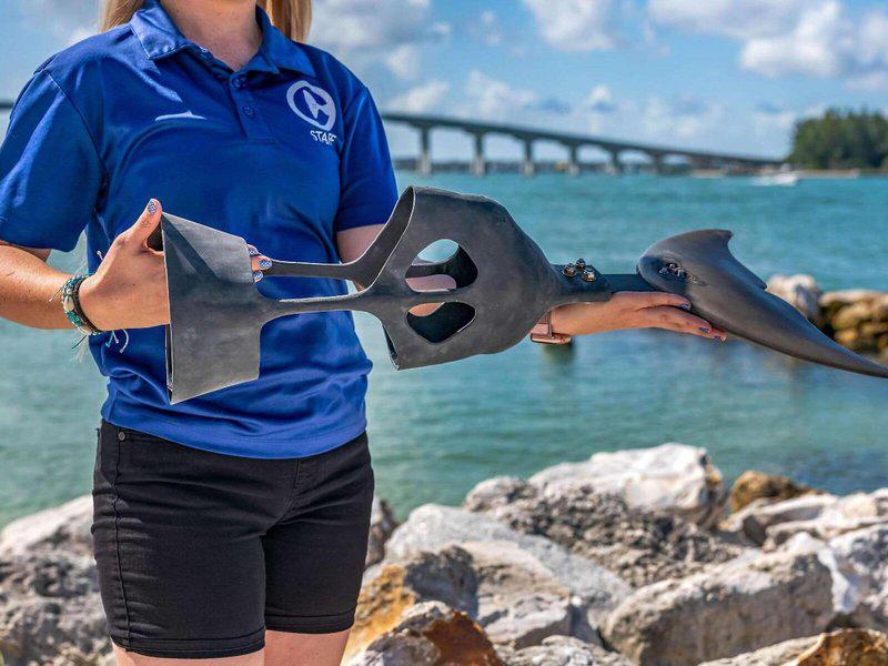 99CBF5DFFB57AF92FF94334F2037C03D