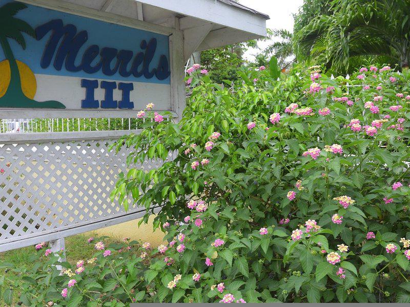 B1927CFE82115E24DD48256B389A652C