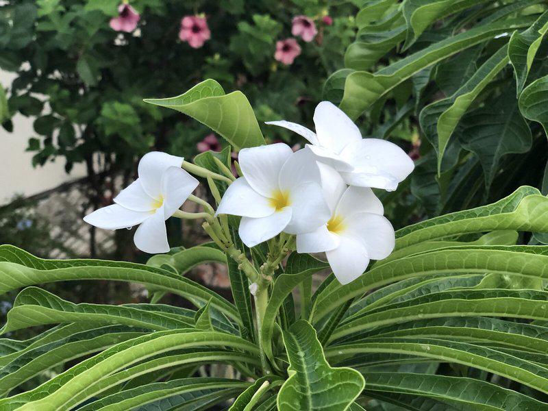 10FF8C20016F656809EF026903CCFB7F