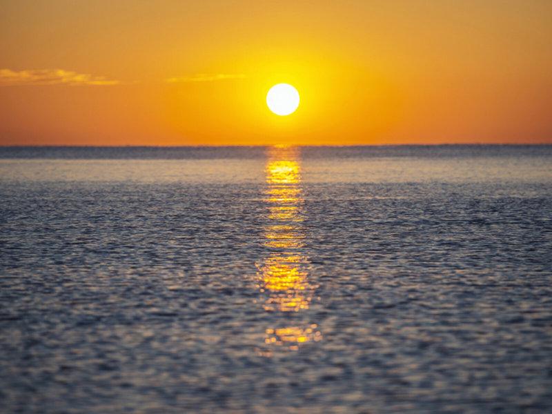 D52FCF26D9B55D7D13A84214328ED0A4