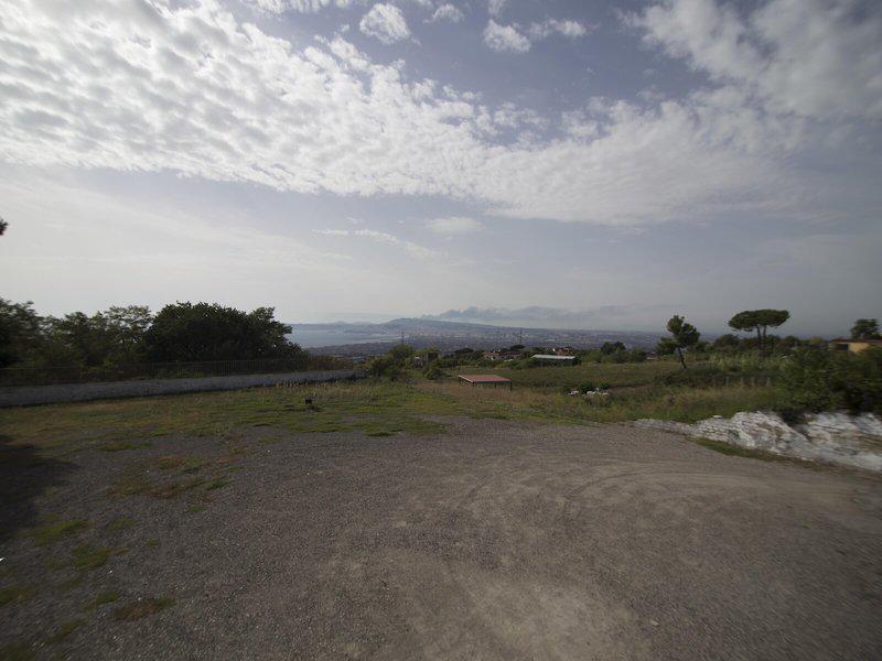 A08CF4140E99782E9C25808794650D5D